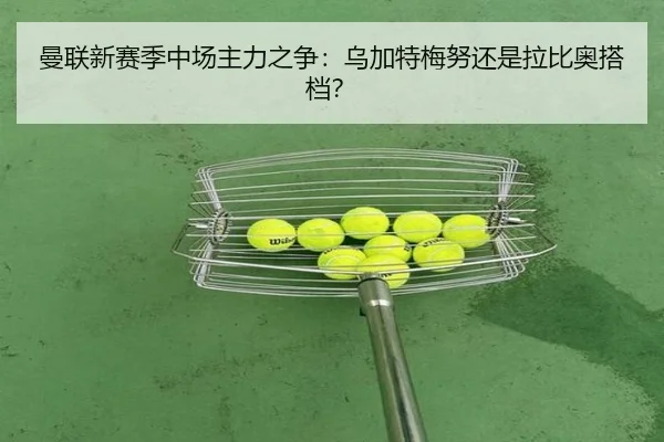 曼联新赛季中场主力之争：乌加特梅努还是拉比奥搭档？